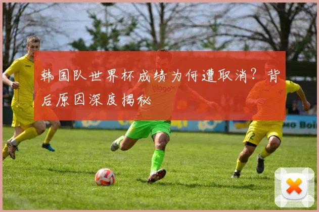 韩国队世界杯成绩为何遭取消？背后原因深度揭秘