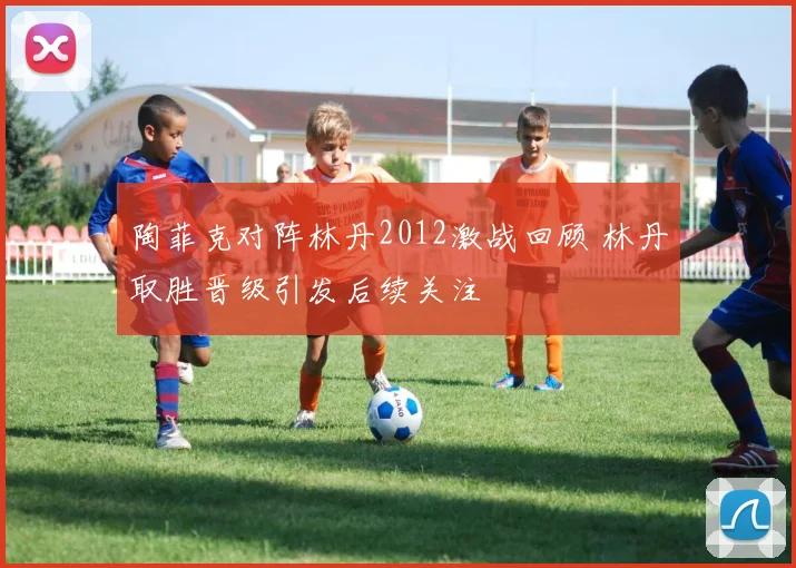 陶菲克对阵林丹2012激战回顾 林丹取胜晋级引发后续关注