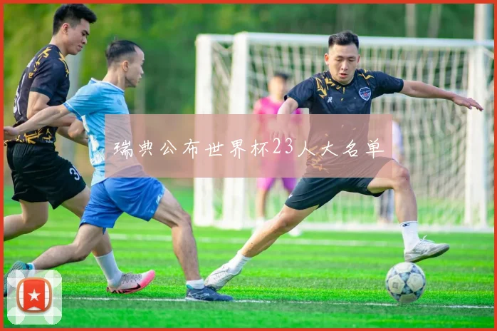 瑞典公布世界杯23人大名单
