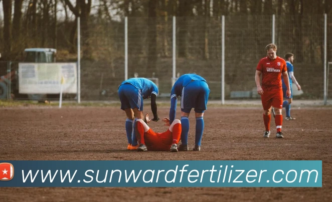 leyu乐鱼在线官网平台生态图