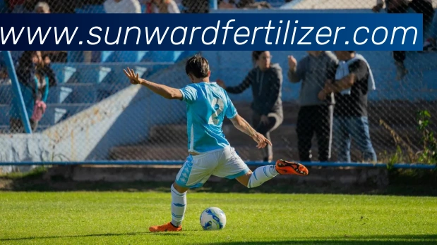 leyu乐鱼在线官网APP 封面图